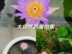 -上海植物园-4号门售票处