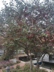 点击看大图 -爱儿美儿童摄影(五路居花园别墅店)