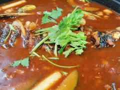 -有红鸡毛店·川菜(建设路店)