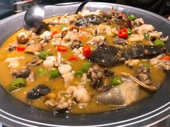 招牌状元藤椒甲鱼牛蛙-十碗(保利店)