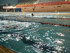 -重庆市奥林匹克体育中心-游泳跳水馆