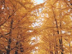 -辽东学院(南校区)