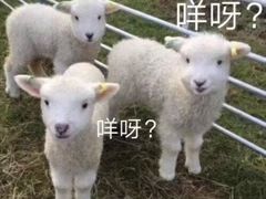 -烎记烧烤(蓝天花园店)