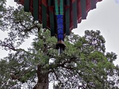 -大觉寺-停车场