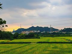 -长洲岛