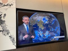 -新加坡瑞士史丹福酒店