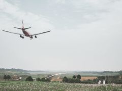 -空港花田景区