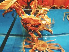 -綱元·海鲜豆捞(明州里店)