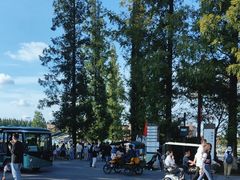 -黄海国家森林公园