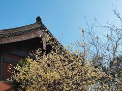 -钱王祠