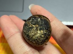 -杨记板栗(天虹总店)