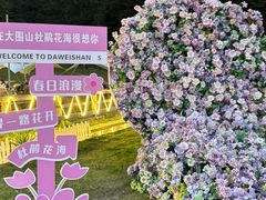 -大围山国家森林公园