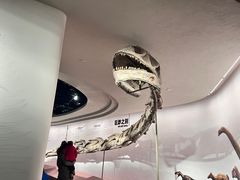 -自贡恐龙博物馆