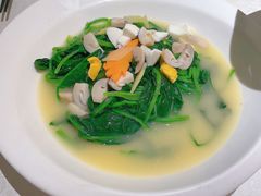 -维园悦谱·海派家常菜(乌鲁木齐南路店)