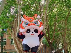 -西安电影制片厂