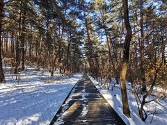 -帽儿山国家森林公园