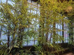 -洞庭土菜馆(天河北总店)