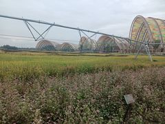 -中国天府农业博览园