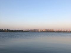-丁香湖公园