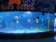 -烟台海昌鲸鲨海洋公园