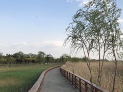 -绿堤公园