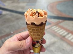 -VT101维多利广场
