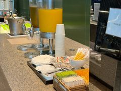 -首尔仁川机场ASIANA LOUNGE贵宾候机室(Incheon)