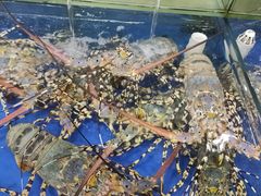-东江海鲜酒家(艺都分店)