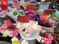 -溪岸路花鸟市场
