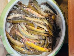 -百味地锅鸡(二店·财校分店)