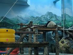 -武汉动物园