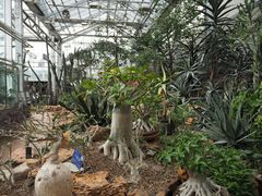 -国家植物园南园