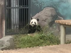 -苏州太湖国家湿地公园