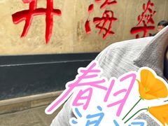 -燊海井