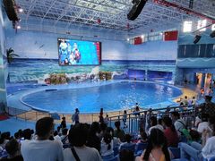 -多彩贵州城极地海洋世界