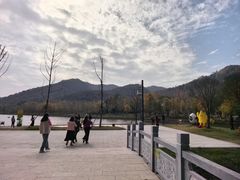 -千年银杏谷文化旅游区