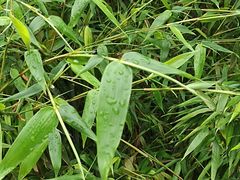 -四里河滨水生态公园