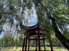 -温江公园
