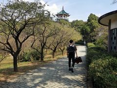 -无锡梅园公园