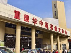 -重振华中蔬菜批发市场(重庆中路店)