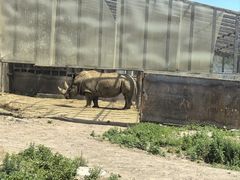 -新疆天山野生动物园
