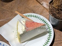 茉莉蜜桃北海道双层芝士-奈诺甜品·生日蛋糕·下午茶(古城店)
