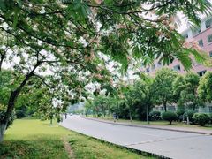 -扬州大学(扬子津校区)