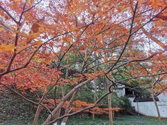 -虎跑公园