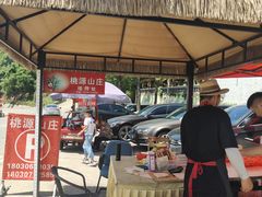 -桃源山庄·水蜜桃采摘·柴火鸡·烧烤团建(龙泉山店)