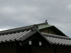 -京都御所