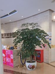 -四川娇点医学美容医院
