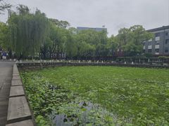 -四川大学(望江校区)