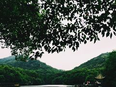 -白马涧龙池景区