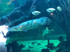 -华夏文旅海洋公园